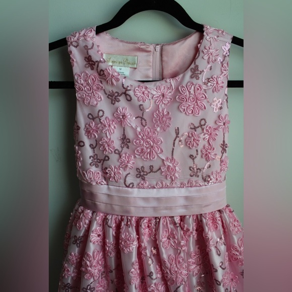 American Princess Pink Embroidered Dress - Picture 1 of 10